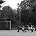 Fingal vs Corinthians 2, Railway Cup 021114