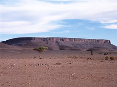 stone desert, Souss-Massa-Draâ, Marokko