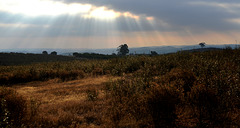 Alentejo. Conselho de Mertola.