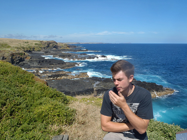 Phillip Island in early summer