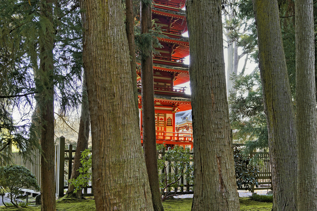 The Pagoda in the Woods – Japanese Tea Garden, Golden Gate Park, San Francisco, California