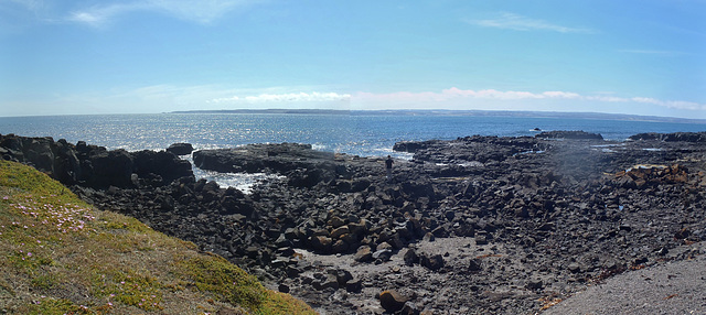 Phillip Island in early summer