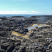 Phillip Island in early summer