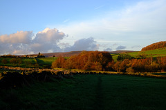 Cat Wood to Blackshaw farm track Cat Wood to Blackshaw farm track