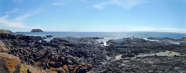 Phillip Island in early summer