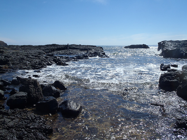 Phillip Island in early summer