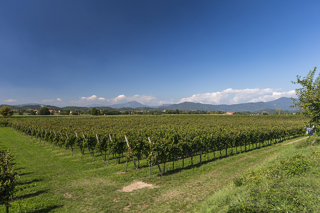 Franciacorta - Brescia