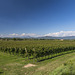 Franciacorta - Brescia