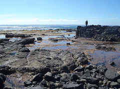 Phillip Island in early summer