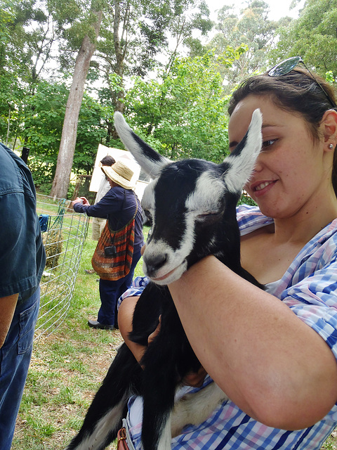 Bullarto Goat Festival