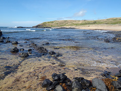 Phillip Island in early summer