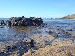 Phillip Island in early summer