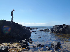 Phillip Island in early summer