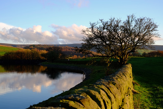 Swineshaw Reservoir wall and Shire hill