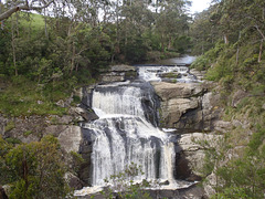 Agnes Falls in the spring