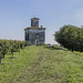 Franciacorta-07