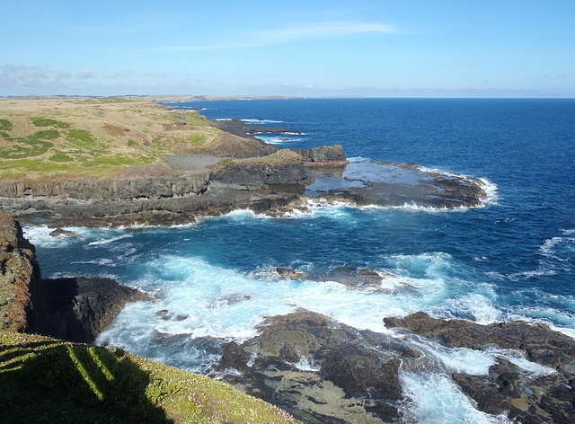 Phillip Island in early summer