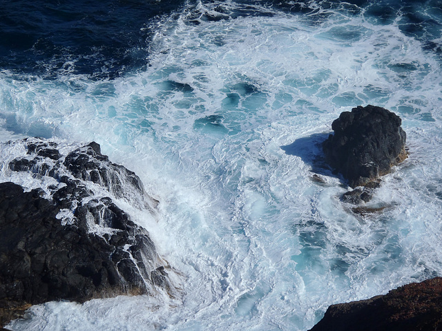 Phillip Island in early summer