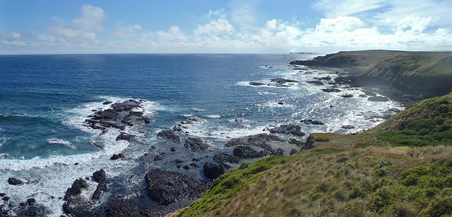 Phillip Island in early summer