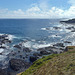 Phillip Island in early summer