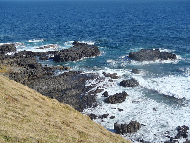 Phillip Island in early summer