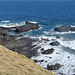 Phillip Island in early summer