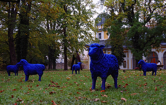 Blaue Schafe im Park des Juliusspitals - Blue Sheeps in the Park of the Juliusspital
