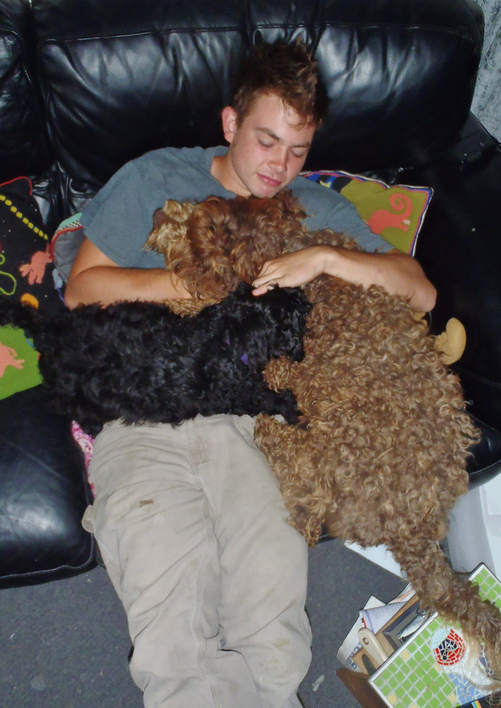 Derek the Dog Magnet