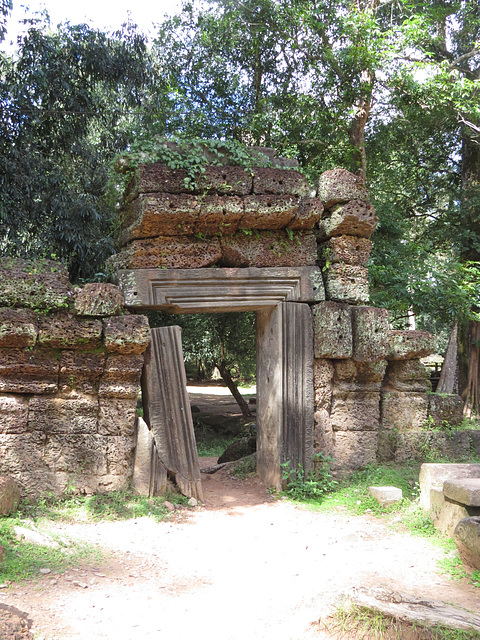 Ta Prohm : Sortie vers la jongle.