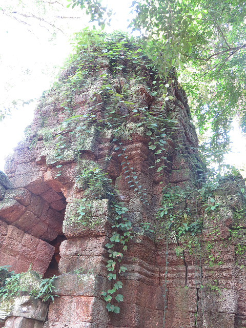 Ta Prohm : tour envahie de verdure.