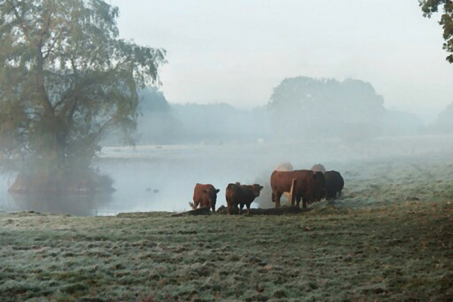 Grossenseeer Idylle