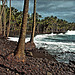 Former Kalapana Black Sands Beach 1989 - Big Island Hawaii