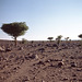 stone desert, Souss-Massa-Draâ, Marokko