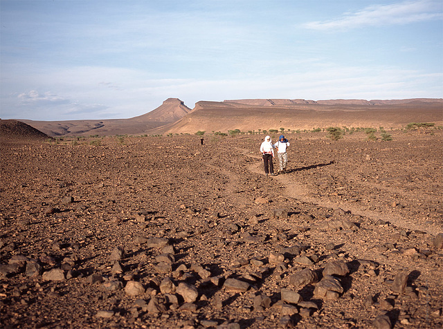 stone desert, Souss-Massa-Draâ, Marokko