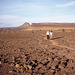 stone desert, Souss-Massa-Draâ, Marokko