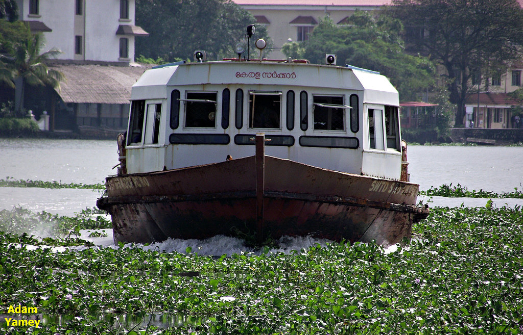 Ferry approaching