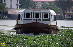 Ferry approaching