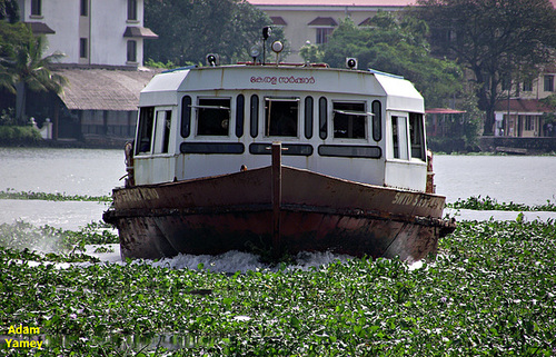 Ferry approaching