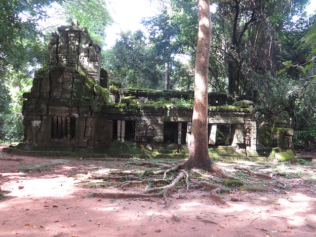 Ta Prohm : hostellerie ?