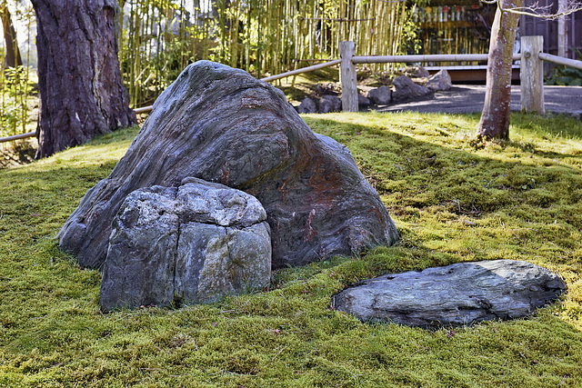 Sometimes You Can Get Blood from a Stone – Japanese Tea Garden, Golden Gate Park, San Francisco, California