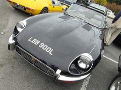 bcboct262014 (1151)