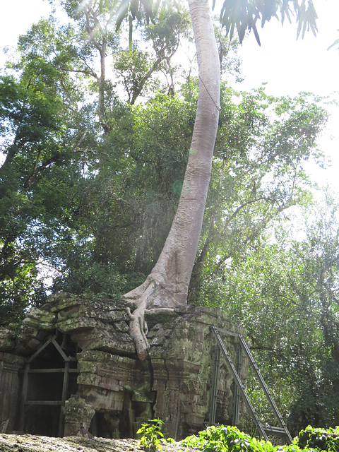 Ta Prohm : la 3e enceinte.