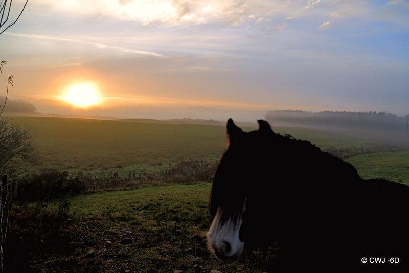 He appreciates a good sunset too!