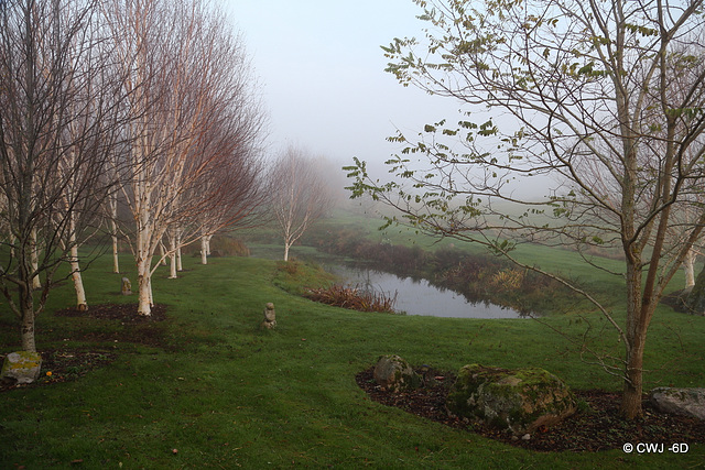 Evening haar over the pond