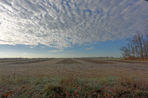 Sky Over Field