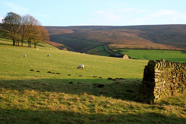 Bray Clough from Moorfield