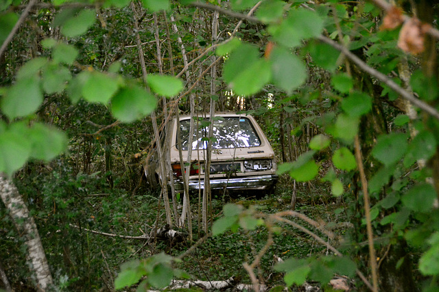 Laudonie 2014 – Talbot Horizon