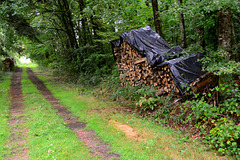 Laudonie 2014 – The Leaning Log Pile of Laudonie