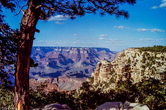 South Rim Vista, Grand Canyon