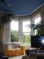 My plants love the big windows in my lounge